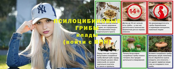 Альфа ПВП Армянск