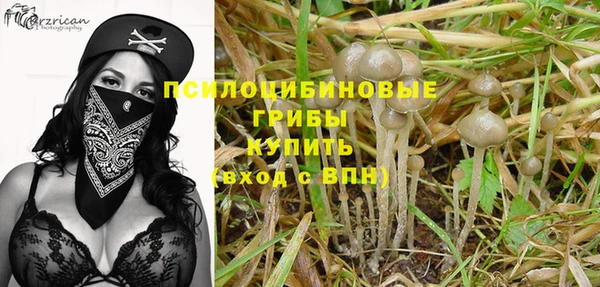 герыч Арсеньев